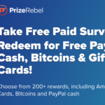 Prizerebel Payment Methods