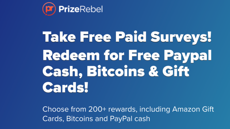 Prizerebel Payment Methods